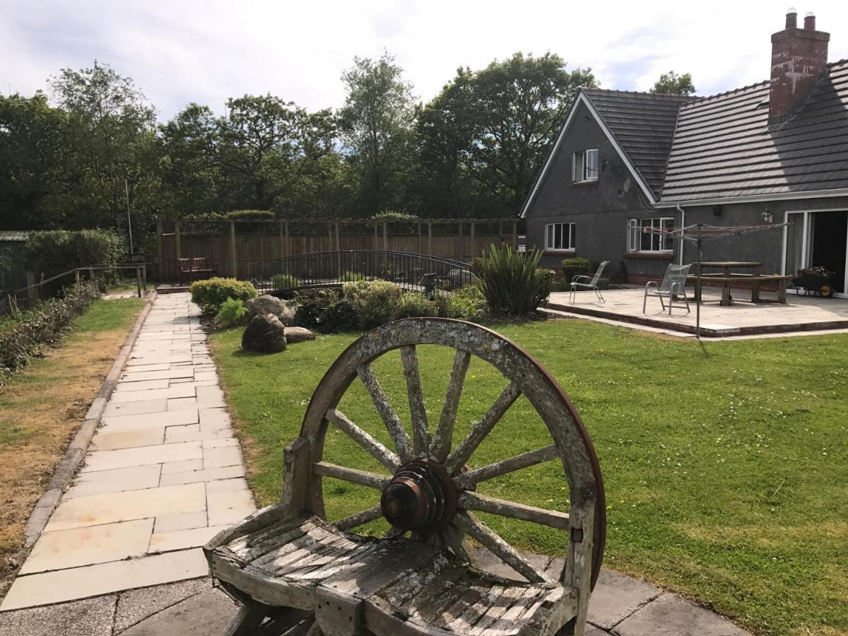 Llannon Bwthyn Rhosyn B&B 외부 사진